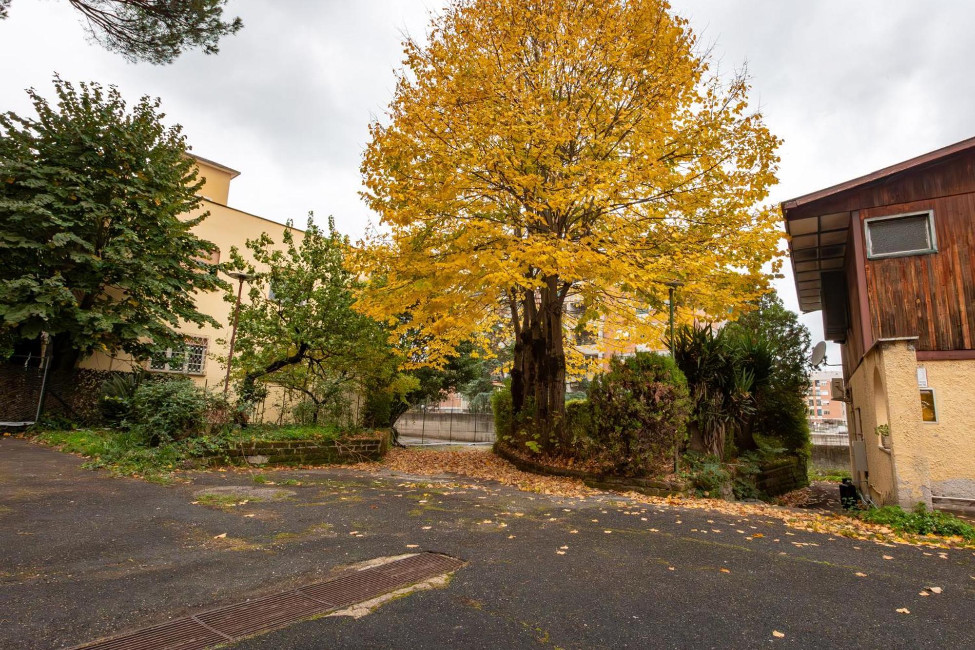Auberge de jeunesse Ah Roma Extérieur photo